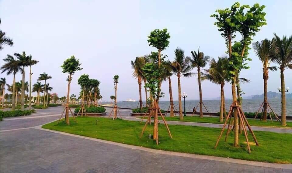 Sonny Homestay 2 -Can Lien Ke 5Pn -Khu Greenbayvillage - Duong Hoang Quoc Viet -Trung Tam Kdl Bai Chay Ha Long Zewnętrze zdjęcie